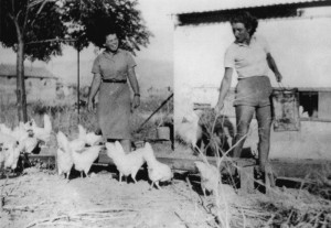 „Eier-Jeckes“, wurden die deutschen Hühnerzüchter genannt. Chava Ducas, die Tochter von Meinhold Nussbaum, kümmerte sich um die Hennen